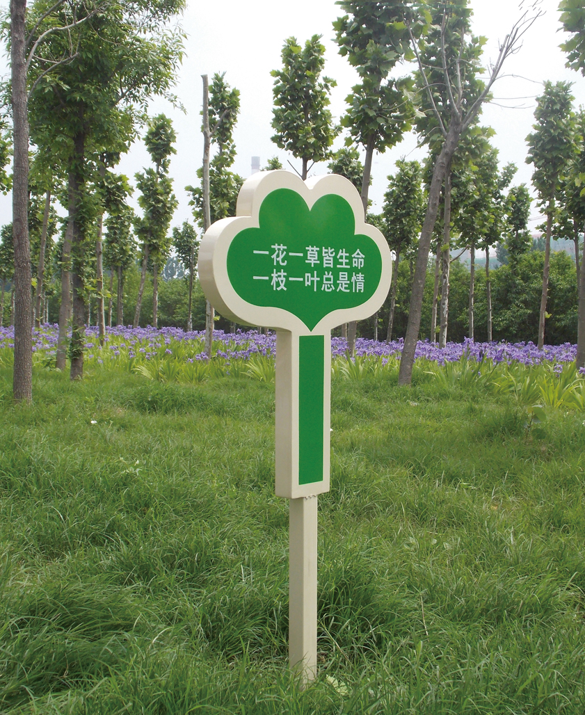 1495594614967698.jpg 506-1.jpg