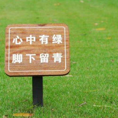 1622021817125959.jpg 6.jpg